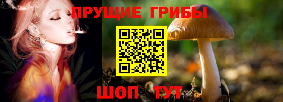 Галлюциногенные грибы ЛСД Янаул