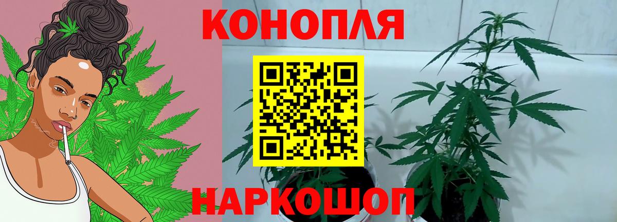 Бошки марихуана OG Kush Янаул